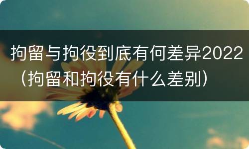 拘留与拘役到底有何差异2022（拘留和拘役有什么差别）