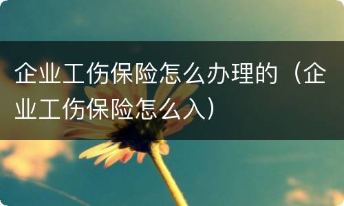 企业工伤保险怎么办理的（企业工伤保险怎么入）