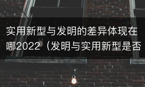 实用新型与发明的差异体现在哪2022（发明与实用新型是否具有实用性）