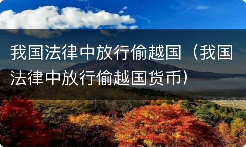 我国法律中放行偷越国（我国法律中放行偷越国货币）