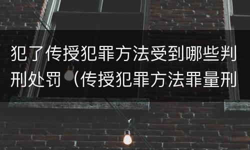 犯了传授犯罪方法受到哪些判刑处罚（传授犯罪方法罪量刑情节严重）