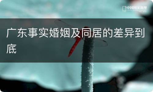 广东事实婚姻及同居的差异到底