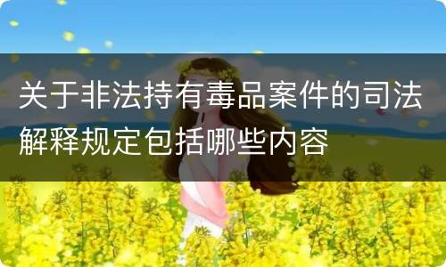 关于非法持有毒品案件的司法解释规定包括哪些内容