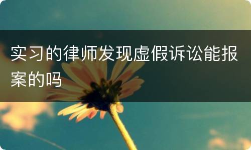 实习的律师发现虚假诉讼能报案的吗