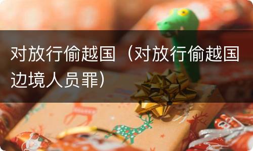 对放行偷越国（对放行偷越国边境人员罪）