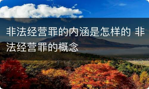 非法经营罪的内涵是怎样的 非法经营罪的概念