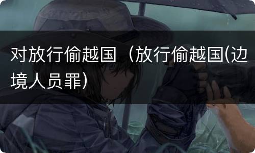 对放行偷越国（放行偷越国(边境人员罪）