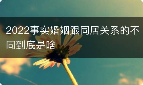 2022事实婚姻跟同居关系的不同到底是啥