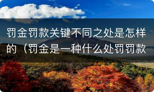 罚金罚款关键不同之处是怎样的（罚金是一种什么处罚罚款是一种什么处罚）