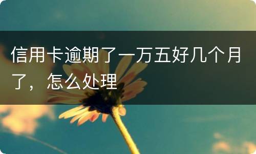 信用卡逾期了一万五好几个月了，怎么处理