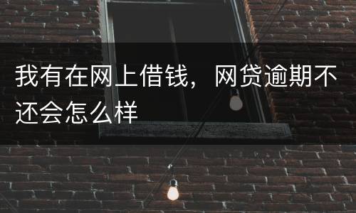 我有在网上借钱，网贷逾期不还会怎么样