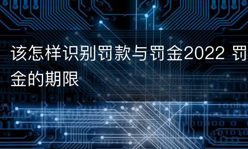 该怎样识别罚款与罚金2022 罚金的期限