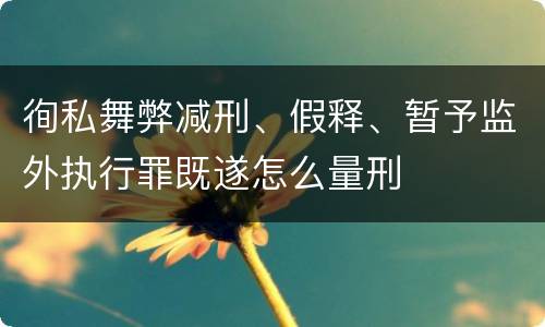 徇私舞弊减刑、假释、暂予监外执行罪既遂怎么量刑