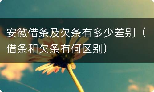 安徽借条及欠条有多少差别（借条和欠条有何区别）