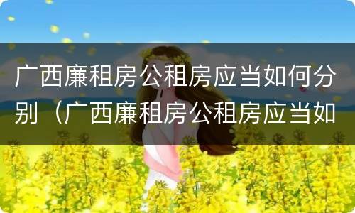 广西廉租房公租房应当如何分别（广西廉租房公租房应当如何分别申请）