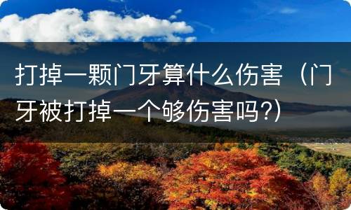 打掉一颗门牙算什么伤害（门牙被打掉一个够伤害吗?）