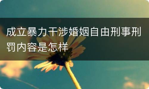 成立暴力干涉婚姻自由刑事刑罚内容是怎样