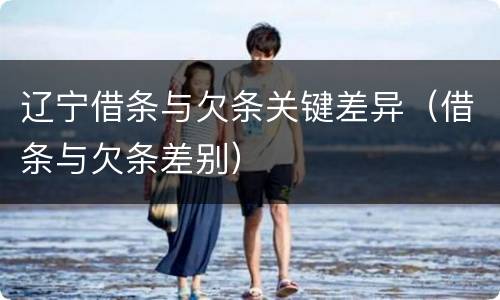 辽宁借条与欠条关键差异（借条与欠条差别）
