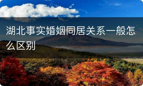 湖北事实婚姻同居关系一般怎么区别