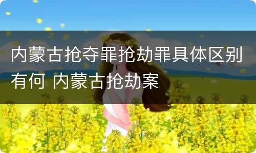 内蒙古抢夺罪抢劫罪具体区别有何 内蒙古抢劫案