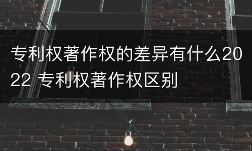 专利权著作权的差异有什么2022 专利权著作权区别