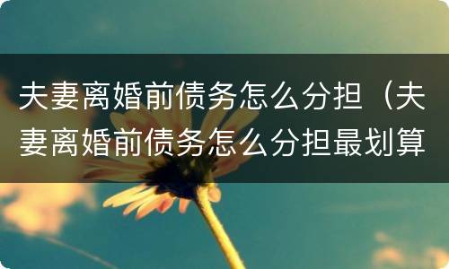 夫妻离婚前债务怎么分担（夫妻离婚前债务怎么分担最划算）