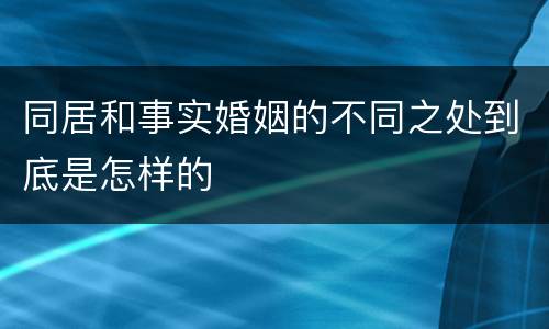 同居和事实婚姻的不同之处到底是怎样的