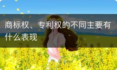 商标权、专利权的不同主要有什么表现