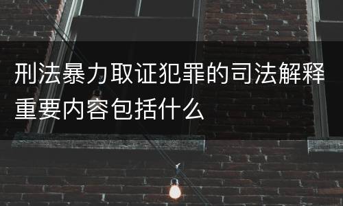 刑法暴力取证犯罪的司法解释重要内容包括什么