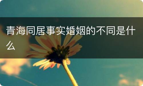青海同居事实婚姻的不同是什么