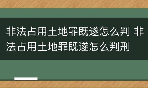 非法占用土地罪既遂怎么判 非法占用土地罪既遂怎么判刑