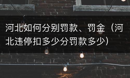 河北如何分别罚款、罚金（河北违停扣多少分罚款多少）