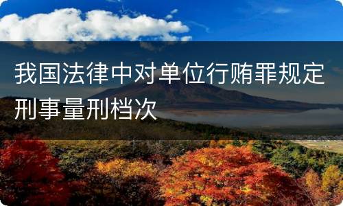 我国法律中对单位行贿罪规定刑事量刑档次