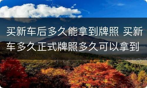 买新车后多久能拿到牌照 买新车多久正式牌照多久可以拿到手?