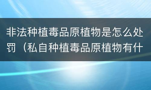 非法种植毒品原植物是怎么处罚（私自种植毒品原植物有什么罪?）