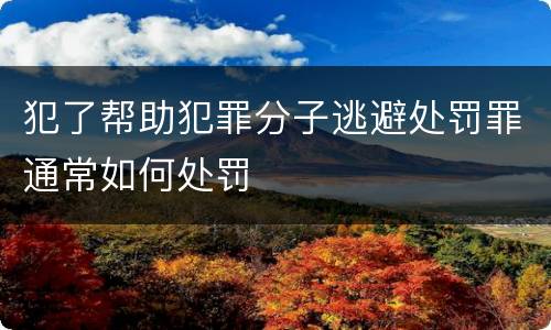 犯了帮助犯罪分子逃避处罚罪通常如何处罚