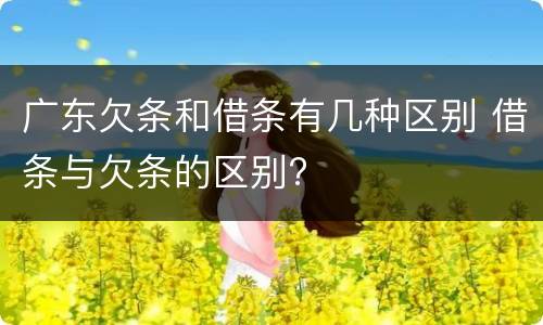 广东欠条和借条有几种区别 借条与欠条的区别?