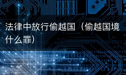 法律中放行偷越国（偷越国境什么罪）