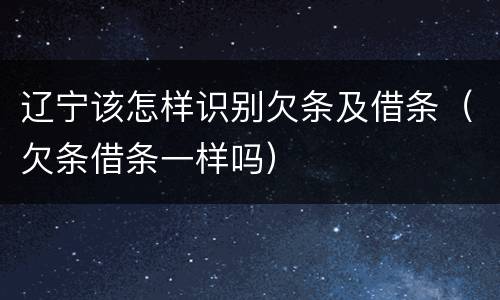 辽宁该怎样识别欠条及借条（欠条借条一样吗）
