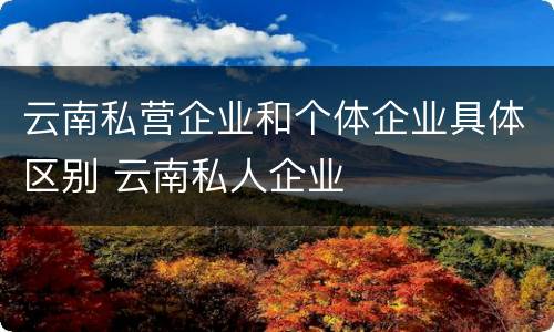 云南私营企业和个体企业具体区别 云南私人企业