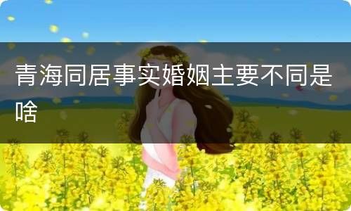 青海同居事实婚姻主要不同是啥
