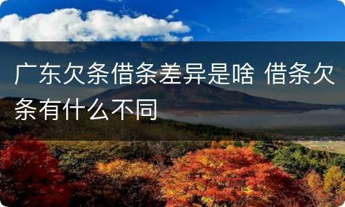 广东欠条借条差异是啥 借条欠条有什么不同