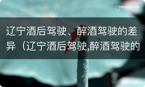 辽宁酒后驾驶、醉酒驾驶的差异（辽宁酒后驾驶,醉酒驾驶的差异有哪些）