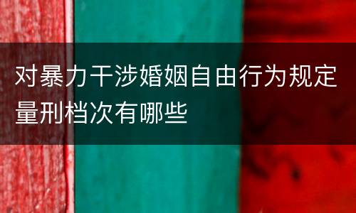对暴力干涉婚姻自由行为规定量刑档次有哪些