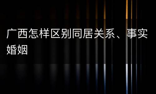广西怎样区别同居关系、事实婚姻