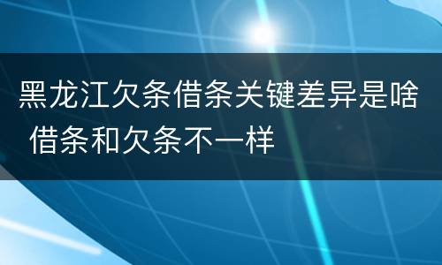 黑龙江欠条借条关键差异是啥 借条和欠条不一样