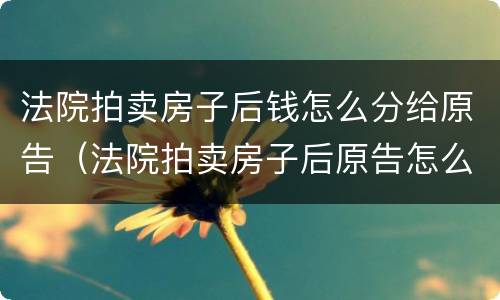 法院拍卖房子后钱怎么分给原告（法院拍卖房子后原告怎么拿钱）