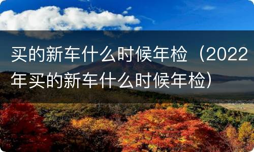 买的新车什么时候年检（2022年买的新车什么时候年检）
