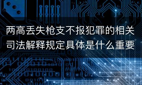 两高丢失枪支不报犯罪的相关司法解释规定具体是什么重要内容