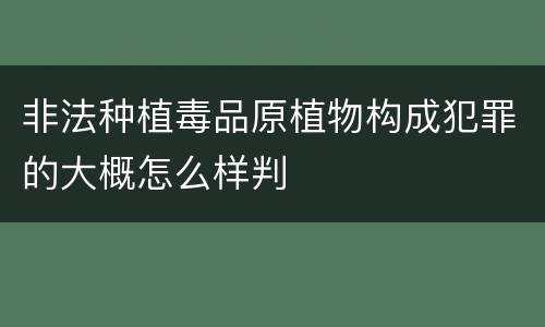 非法种植毒品原植物构成犯罪的大概怎么样判